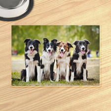 Personalized Photo Gallery Pet Meal Mat Placemats