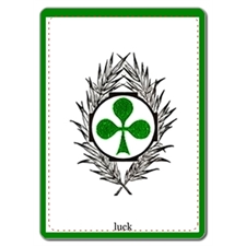 Personalized Poker Custom Cards (Blank Cards) Playing Cards