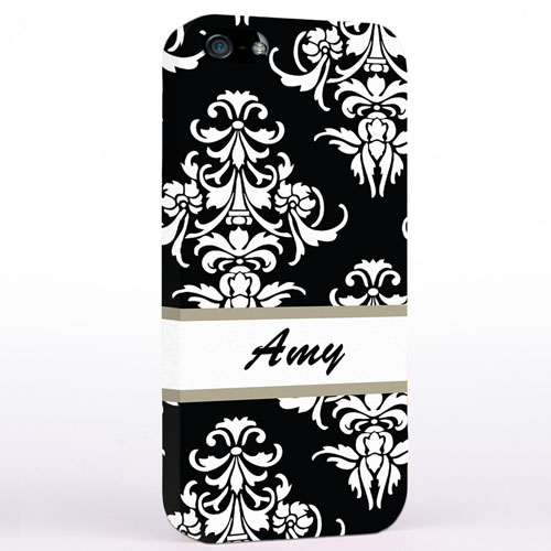 Vintage iPhone5 Case