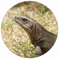 Rundes Fotopuzzle