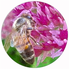 Rundes Fotopuzzle