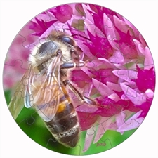 Rundes Fotopuzzle