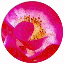 Rundes Fotopuzzle