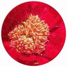 Rundes Fotopuzzle