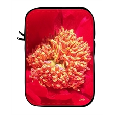 Notebooktasche