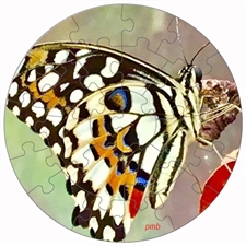 Rundes Fotopuzzle