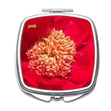 Taschenspiegel