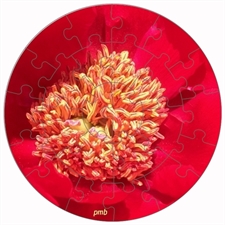 Rundes Fotopuzzle
