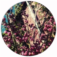 Rundes Fotopuzzle