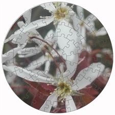 Rundes Fotopuzzle