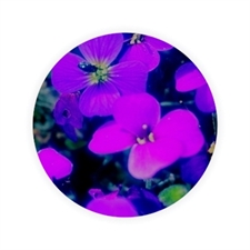 Fotobutton mit Anstecknadel