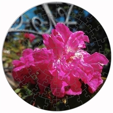 Rundes Fotopuzzle
