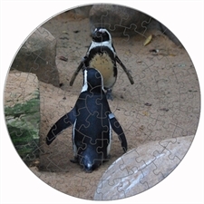 Rundes Fotopuzzle