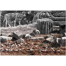 Foto-Puzzles