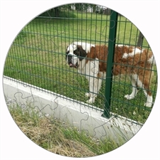 Rundes Fotopuzzle
