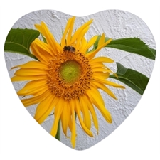 Geschenk Blechdosen