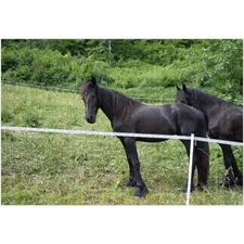 Foto-Puzzles