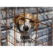 Tierschutz Daisy - Danke