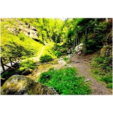 Foto-Puzzles