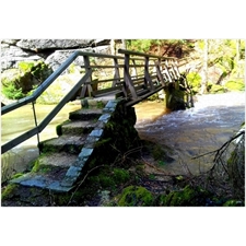 Foto-Puzzles