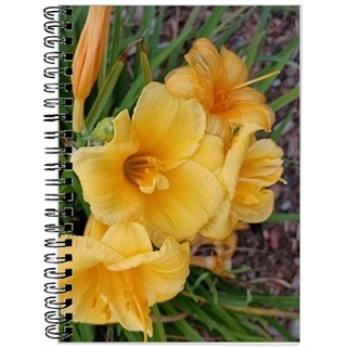 Yellow Day Lilies Photo Spiral Notebook
