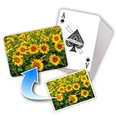 Gift Shops Wholesale playing cards